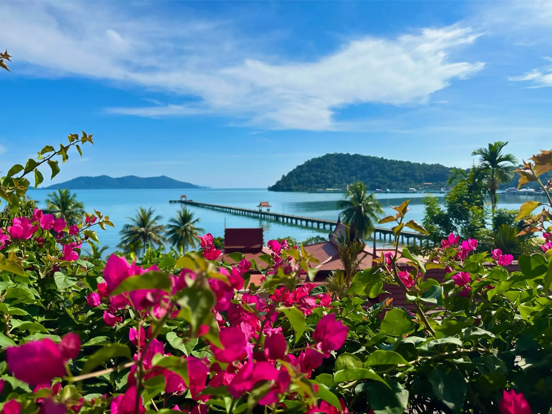 A view of the ocean from a balcony with pink flowers in the foreground.