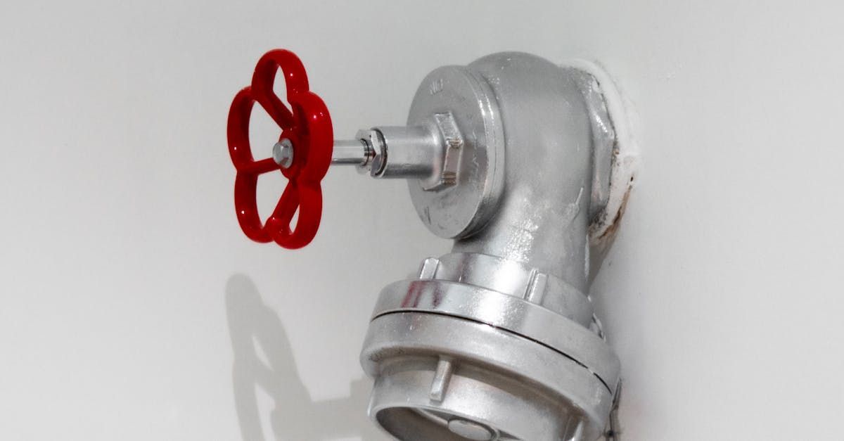 A fire hydrant with a red handle is attached to a wall.