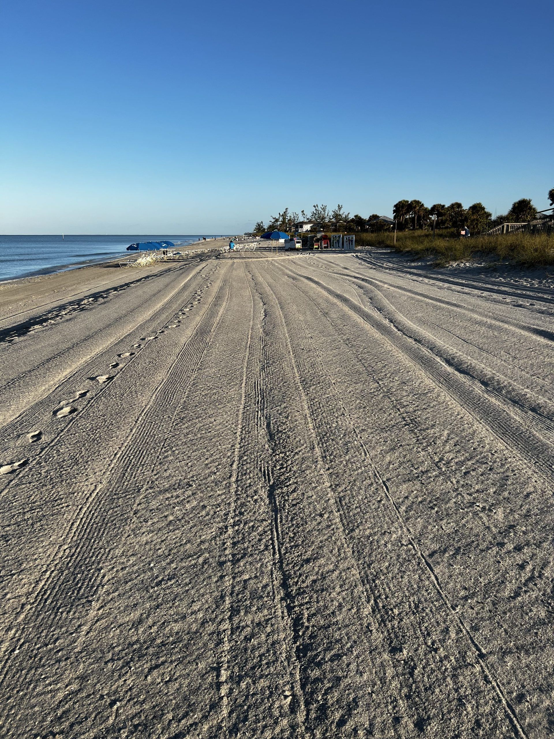 Sandy beach with tire tracks, ocean, and clear blue sky.