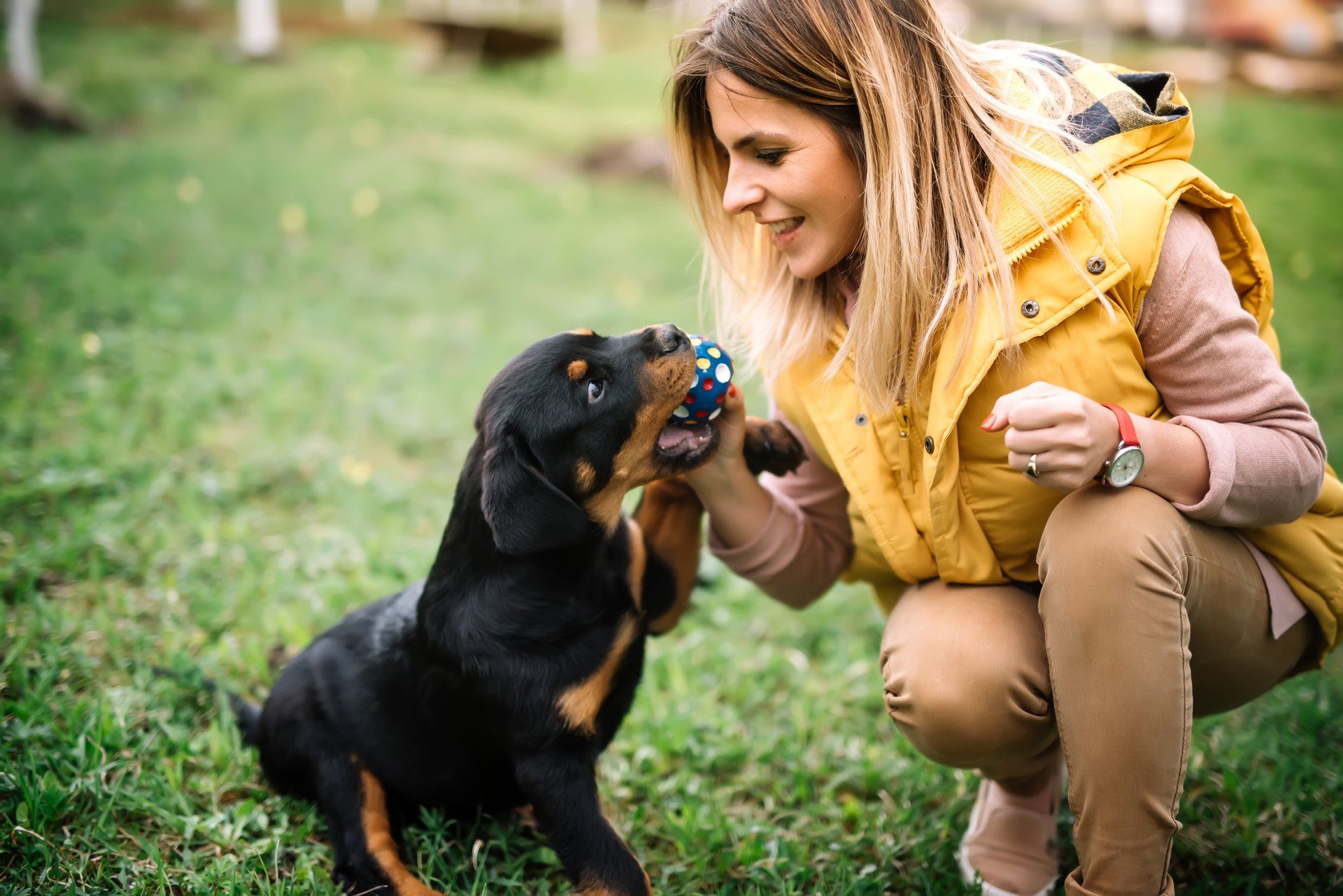 Woman and a Dog — Shreveport, LS — Animal Health Center