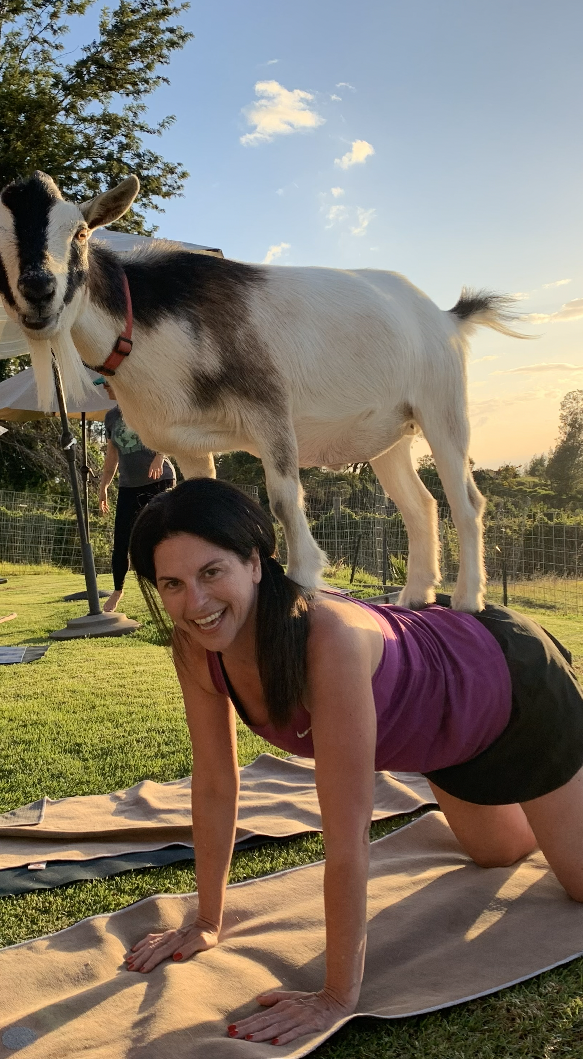 Dr Thomas - Thomas and Anderegg