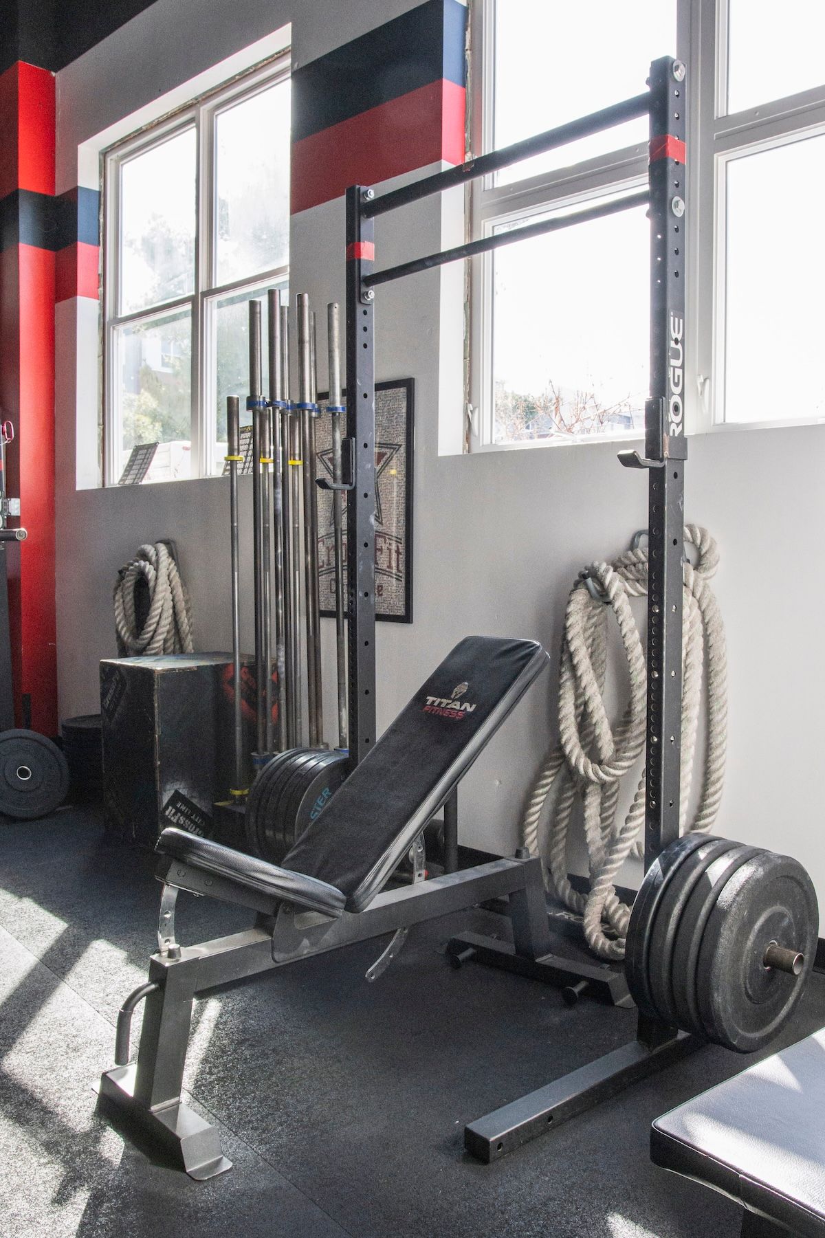 A gym with a bench , barbells and ropes