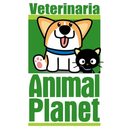 Caricatura de perro y gato, con el logo de Animal Planet y la palabra 