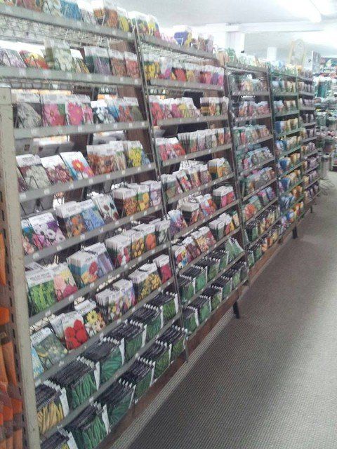 Feeds — Flower in Portsmouth, VA