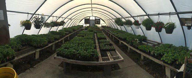 Wild Bird Seed — Plant Farm in Portsmouth, VA