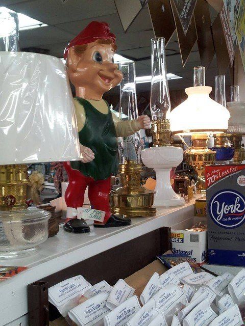 Seed Store — Lamp in Portsmouth, VA