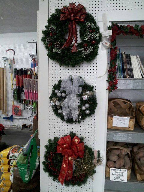 Plants— Flower Display in Portsmouth, VA