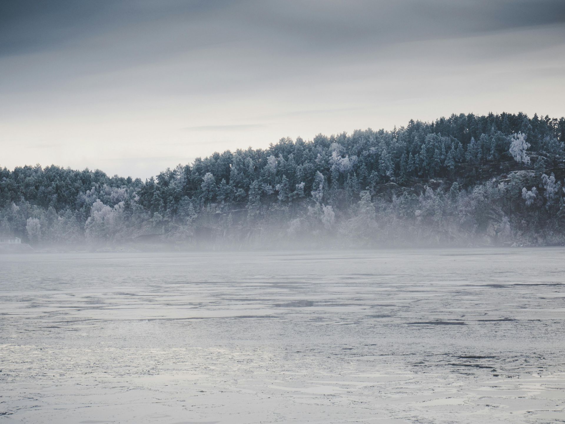 Winterlandschap met bevroren meer en besneeuwd bos onder een bewolkte hemel.