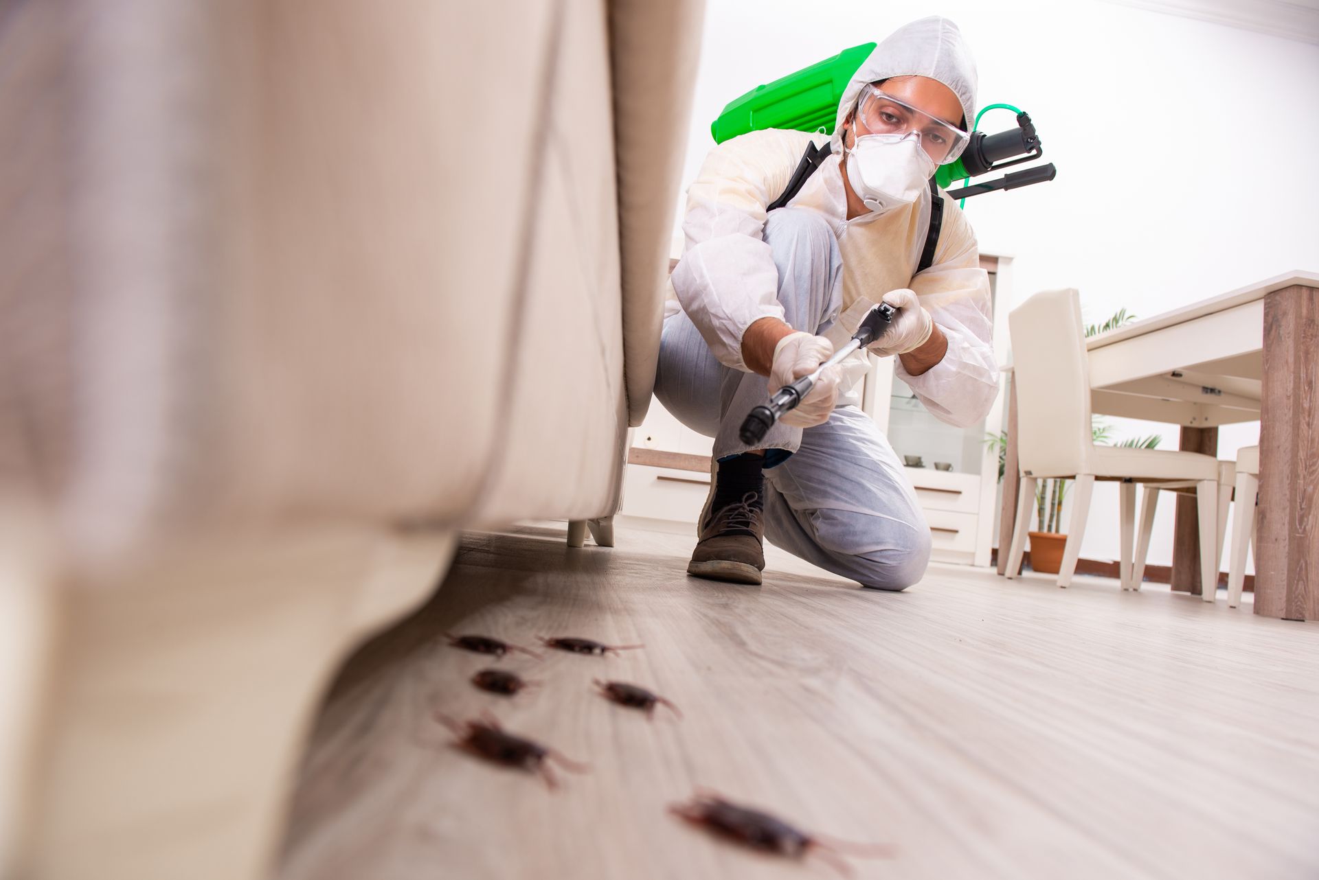 A man is spraying cockroaches in a living room.