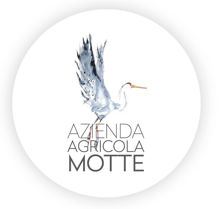 Illustrazione ad acquerello di un airone in volo sopra la scritta