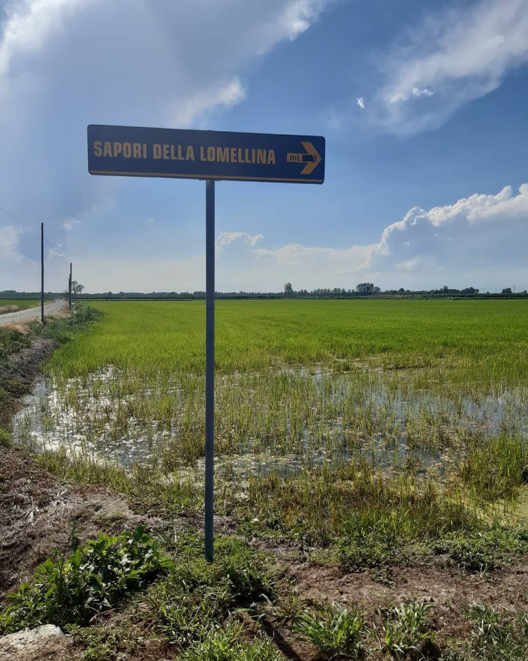 Un cartello stradale con la scritta