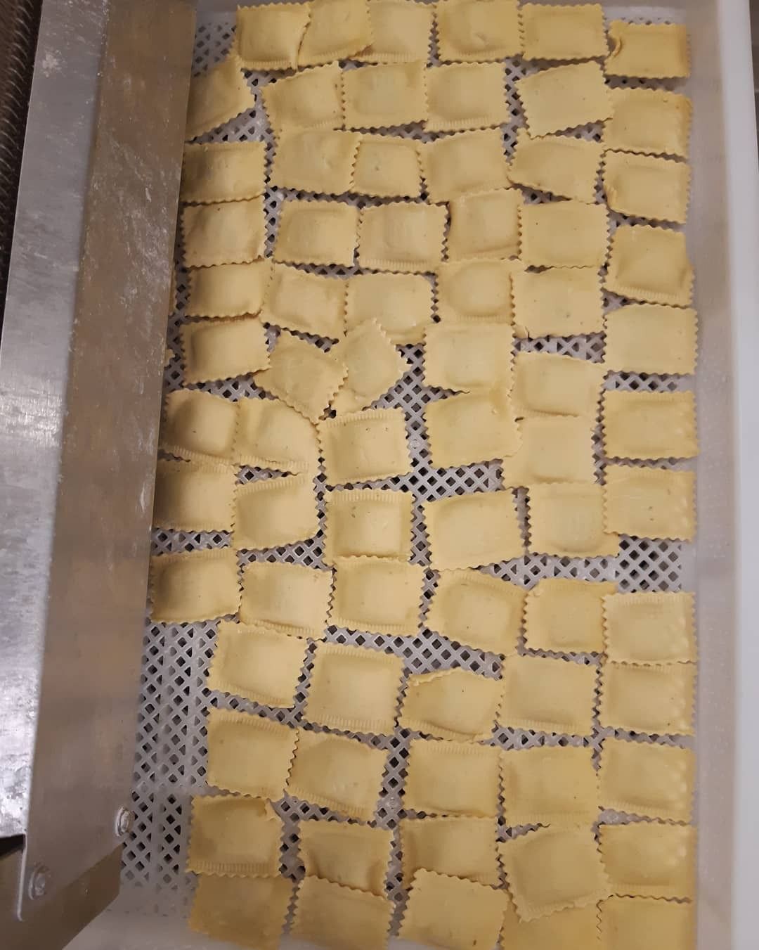 Un vassoio colmo di file di ravioli quadrati appena sfornati, adagiati su un tappetino di rete bianca per l'asciugatura.