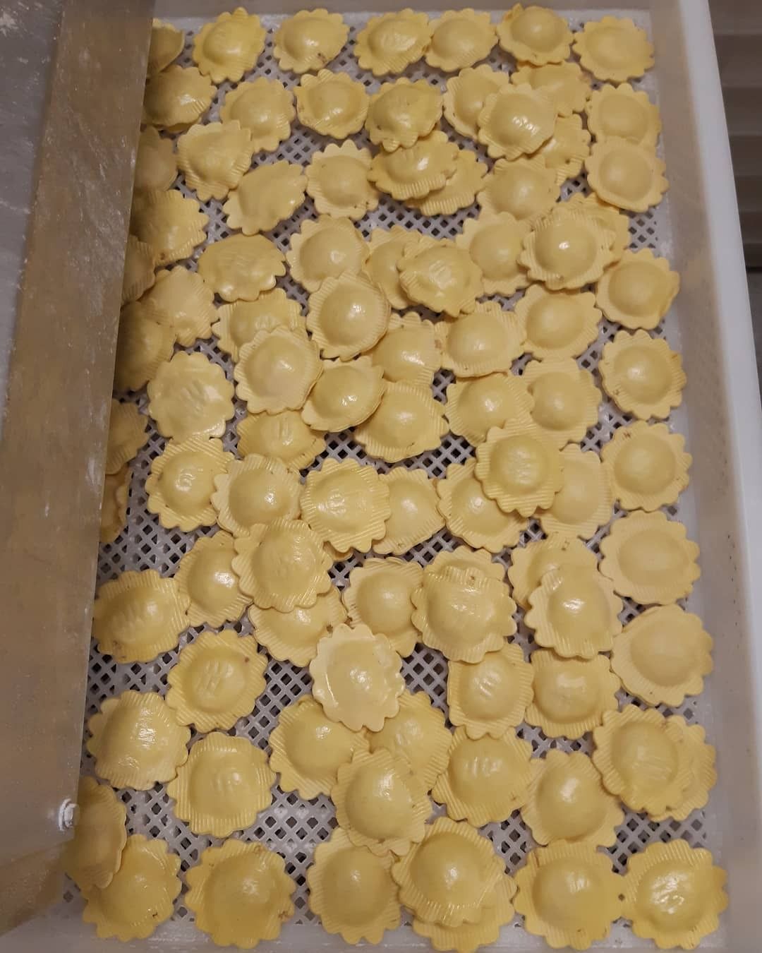 Un vassoio rettangolare pieno di numerosi ravioli crudi dai bordi ondulati, disposti su una superficie a rete.