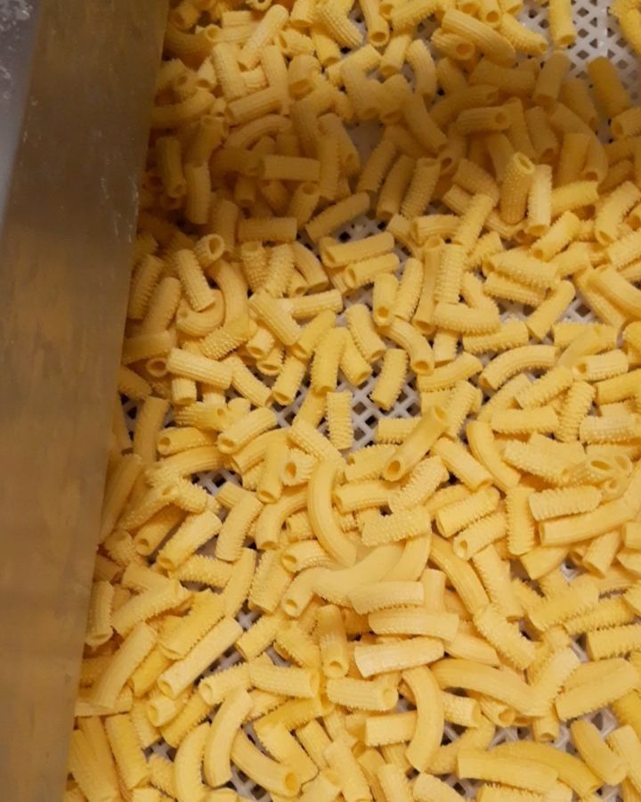 Una massa di pasta secca, gialla e tubolare a gomito giace su una superficie bianca a griglia all'interno di una macchina per la produzione alimentare.