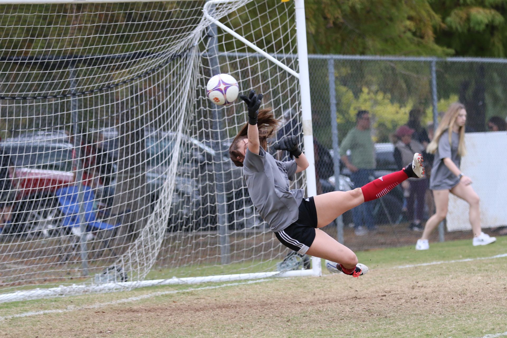 Alpharetta Ambush Soccer Club's female soccer goalie is diving to catch a soccer ball.