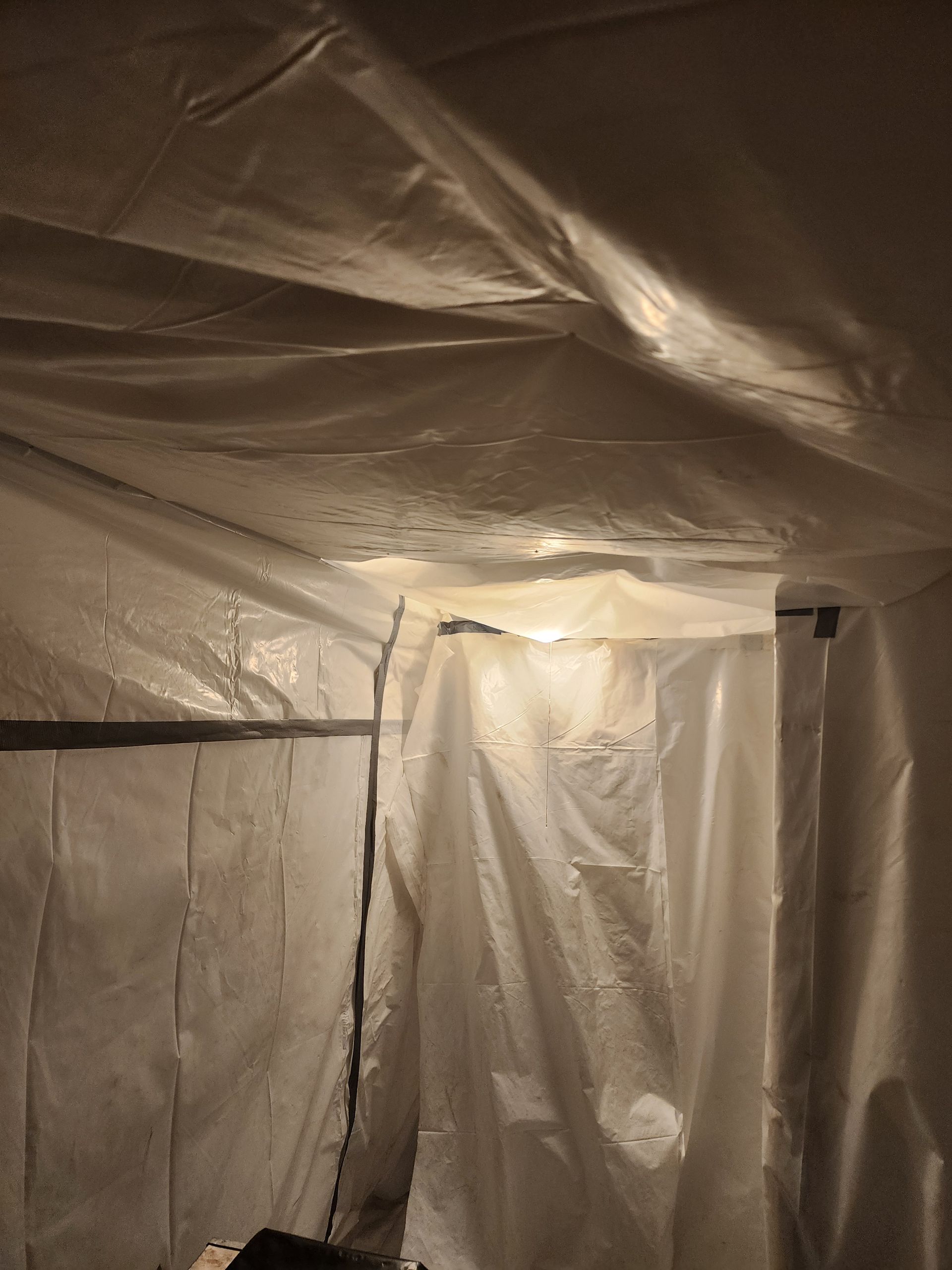 White plastic sheeting used as a makeshift enclosure; condensation is visible on the plastic.