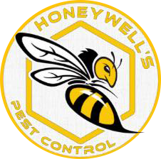 Honey Wells Pest Control