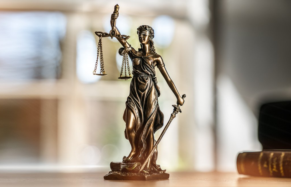 Anwältin, Dr. Astrid Prießner, Strafrecht, Opferschutz