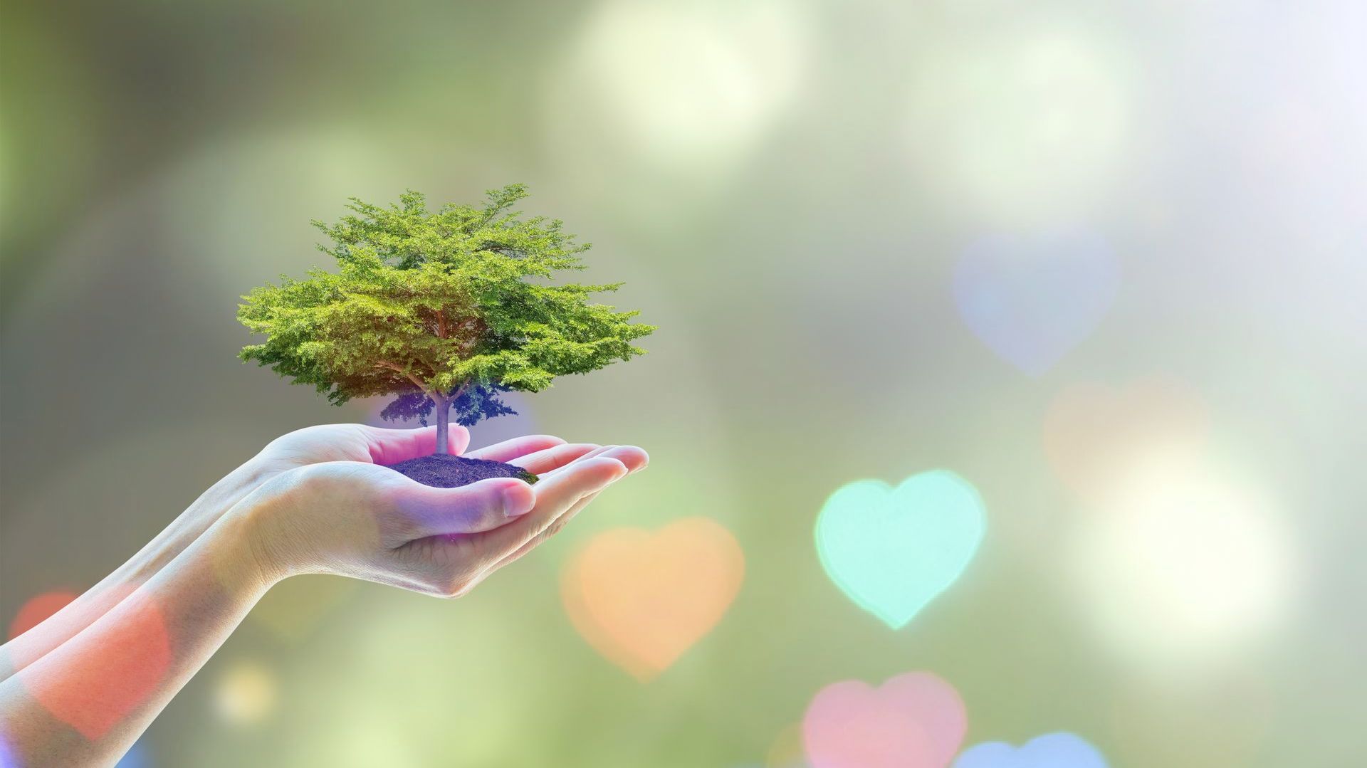 Sustainable Living EcoFriendly Features in Manufactured Homes for