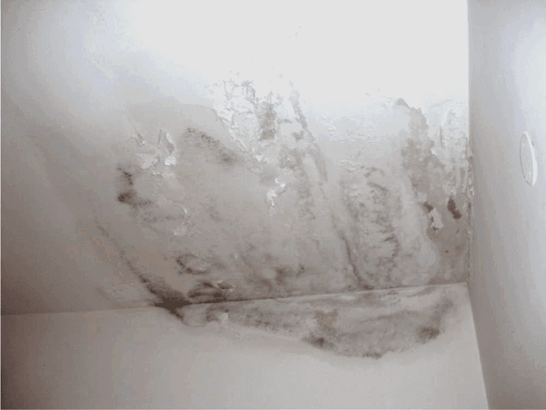 soffitto su cui cresce della muffa.