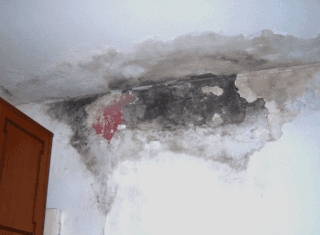 Una stanza con un soffitto pieno di muffa.