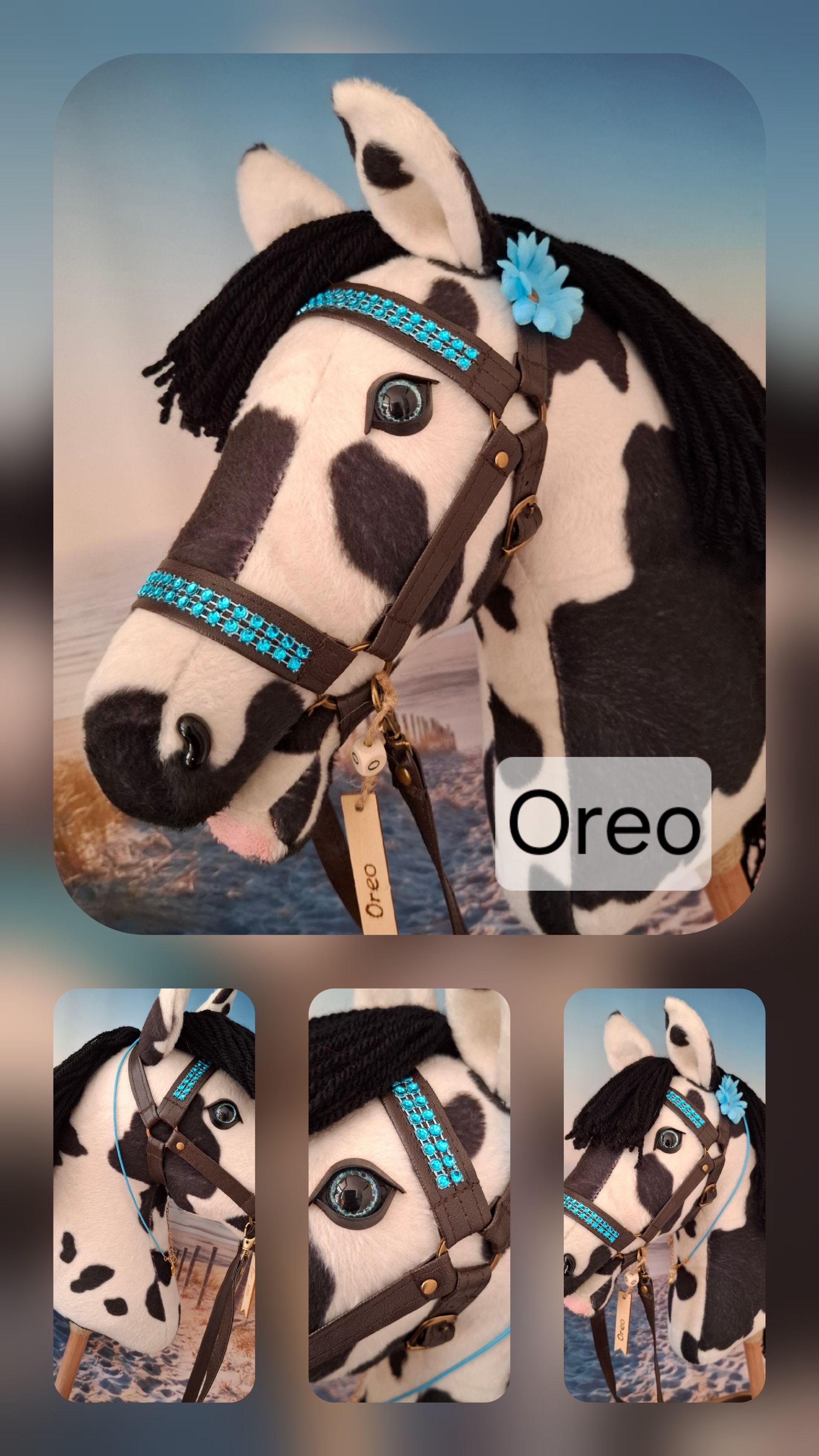Tough gelding Oreo