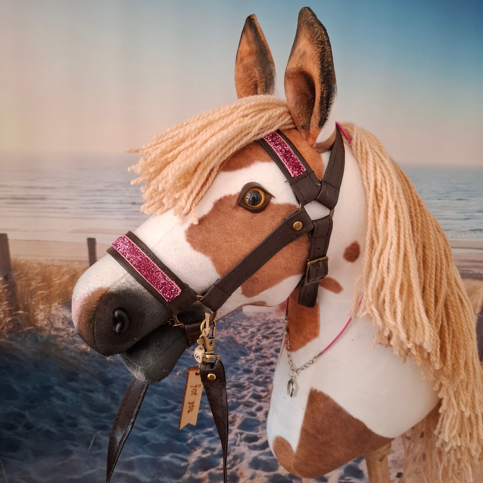 Beautiful piebald mare Sunny!