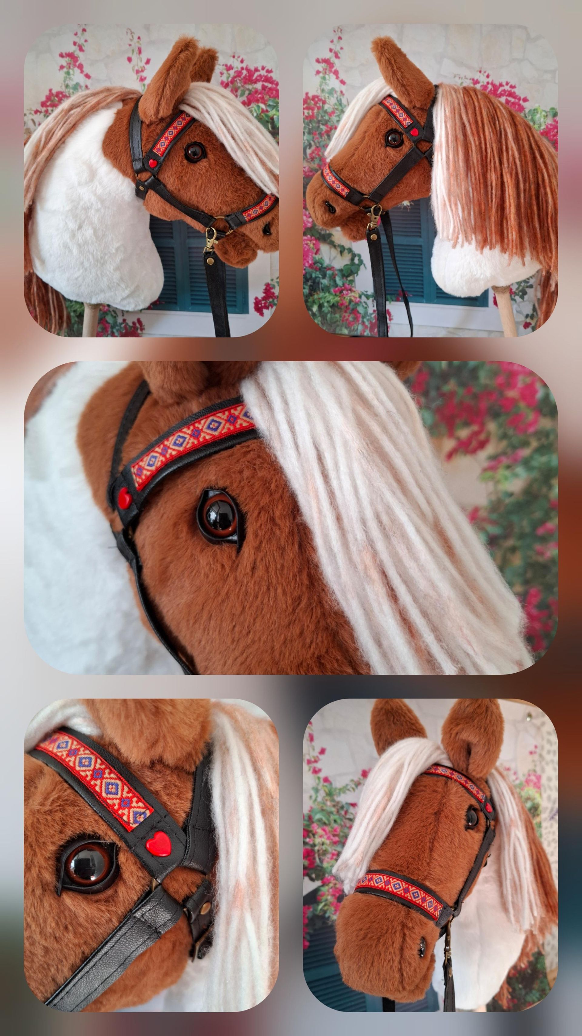 Beautiful Shetland mare