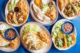 Plates of Mexican food with tacos, rice, beans, salsa, and toppings on a blue table.