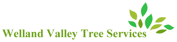 Welland Valley Tree Services