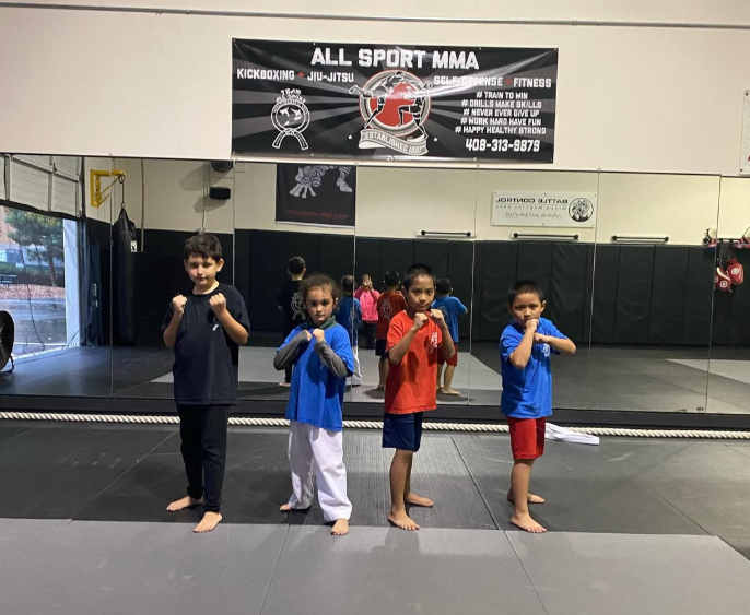 A group of young boys are standing in front of a sign that says all sport mma