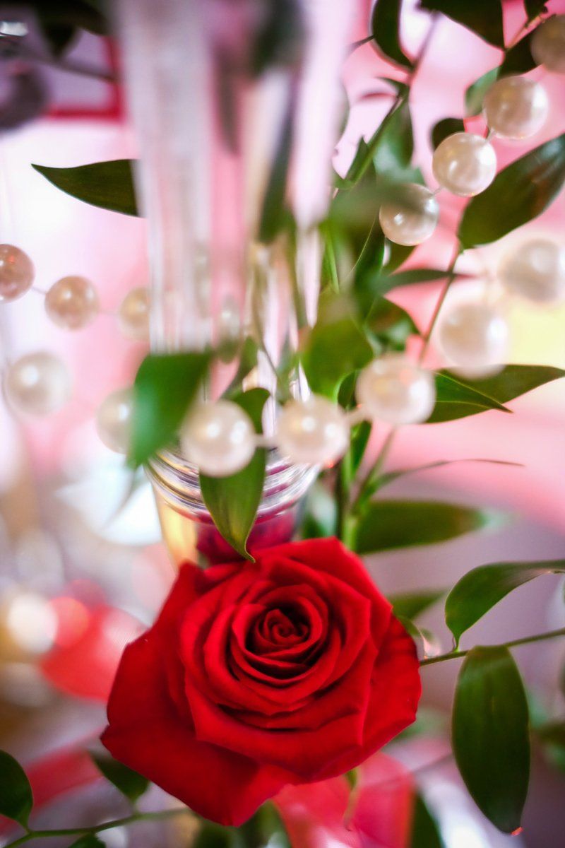 Red rose in focus, with pearls and greenery; festive, soft-focus background.