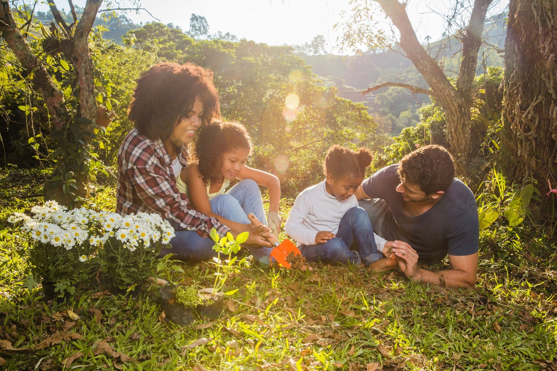 Family of four in a sunny forest, examining flowers.