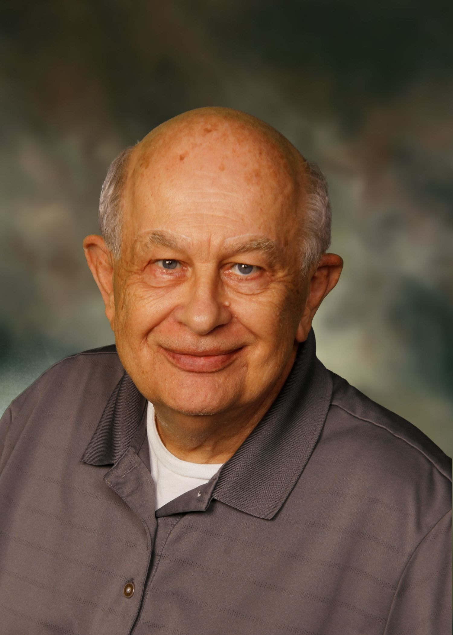Bald, smiling older man in a gray collared shirt, standing against a blurry, shaded background.