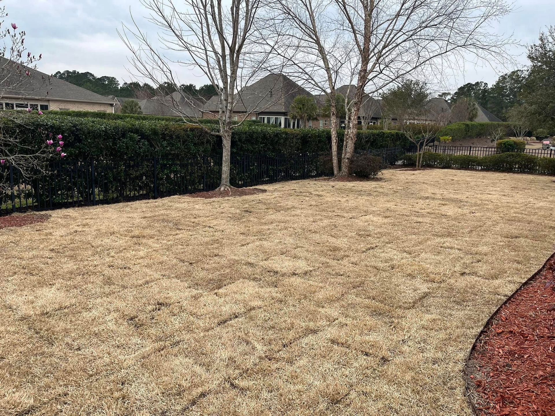 A large lawn with trees and houses in the background.