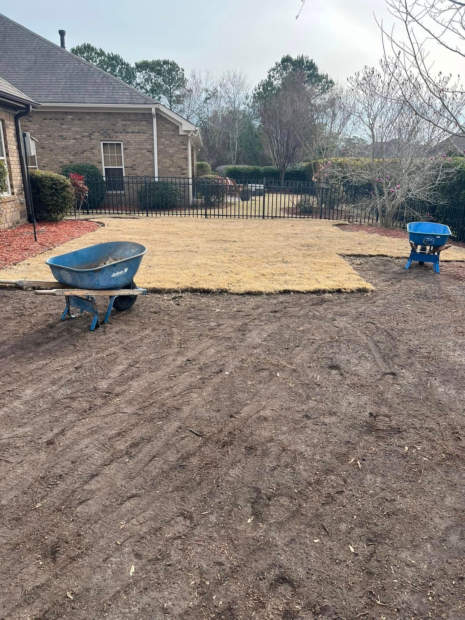 Two wheelbarrows are sitting on top of a pile of dirt in a yard.