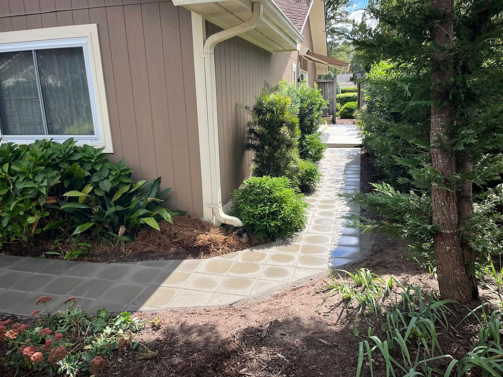 A walkway leading to a house surrounded by trees and bushes.