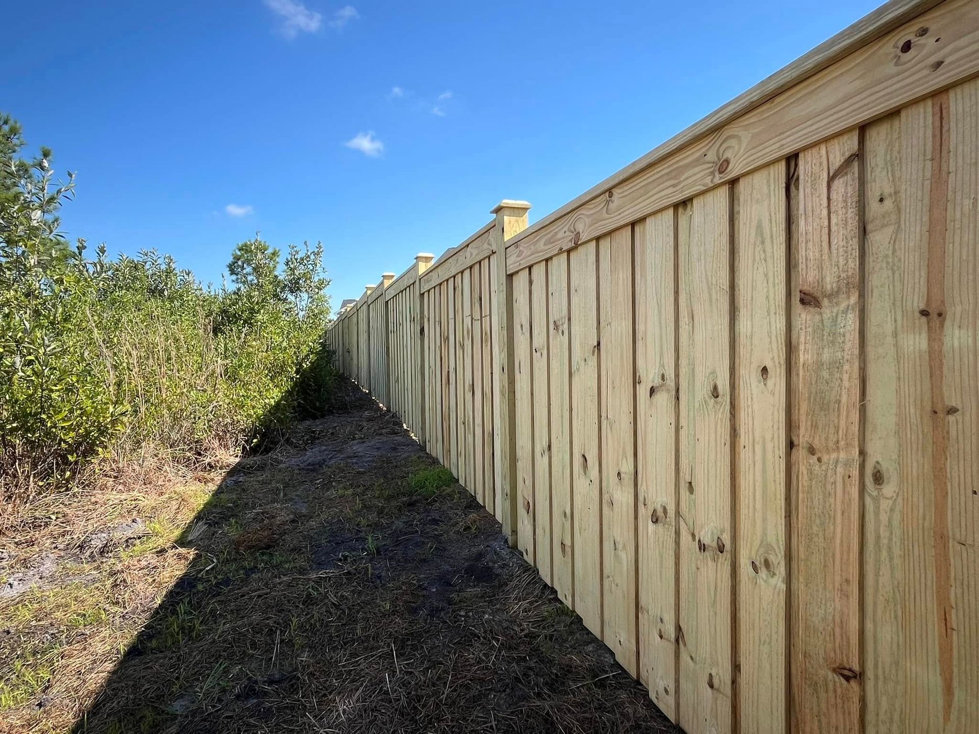 A wooden fence surrounds a field with trees in the background.