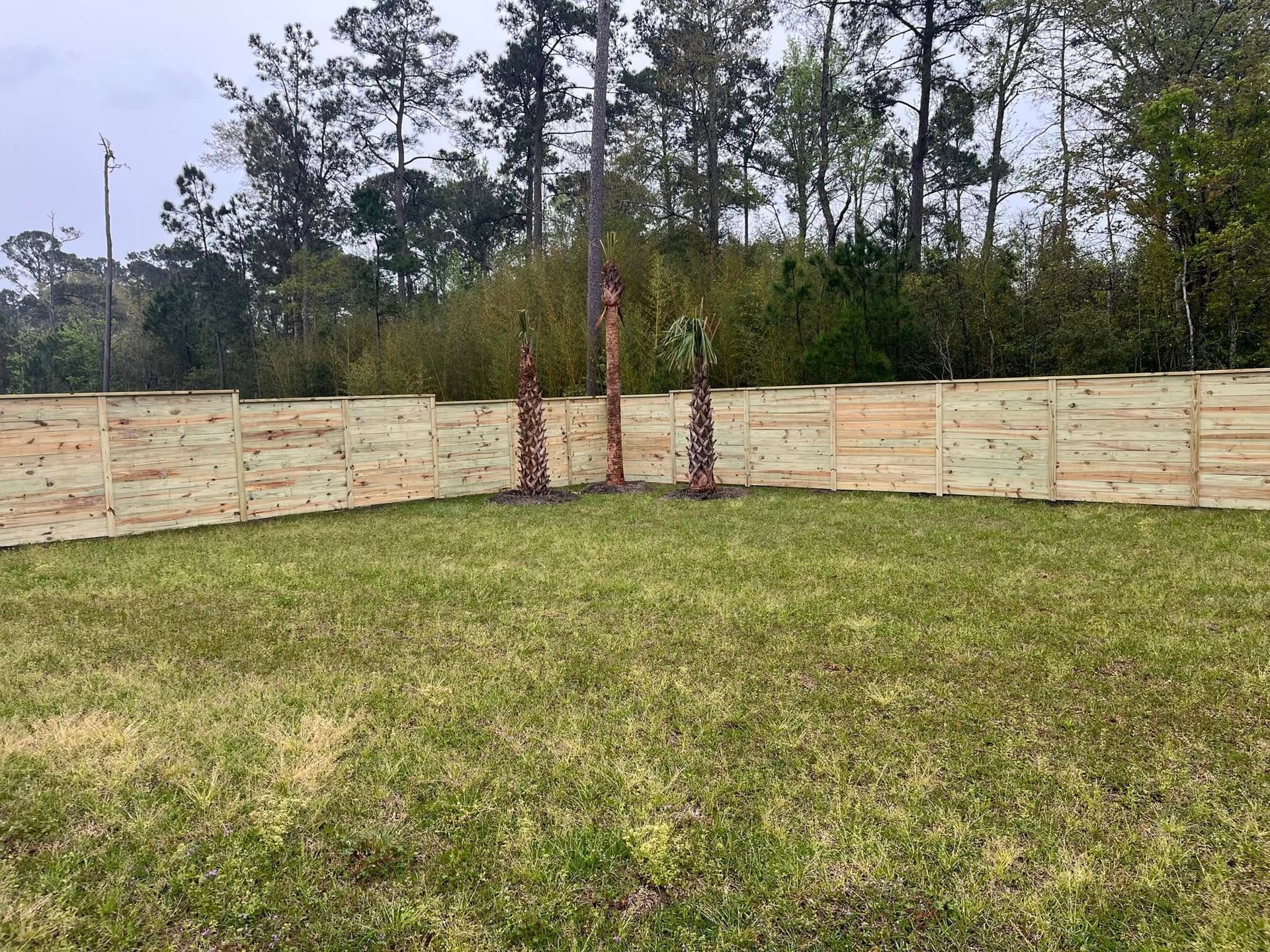 A wooden fence surrounds a lush green field with trees in the background.