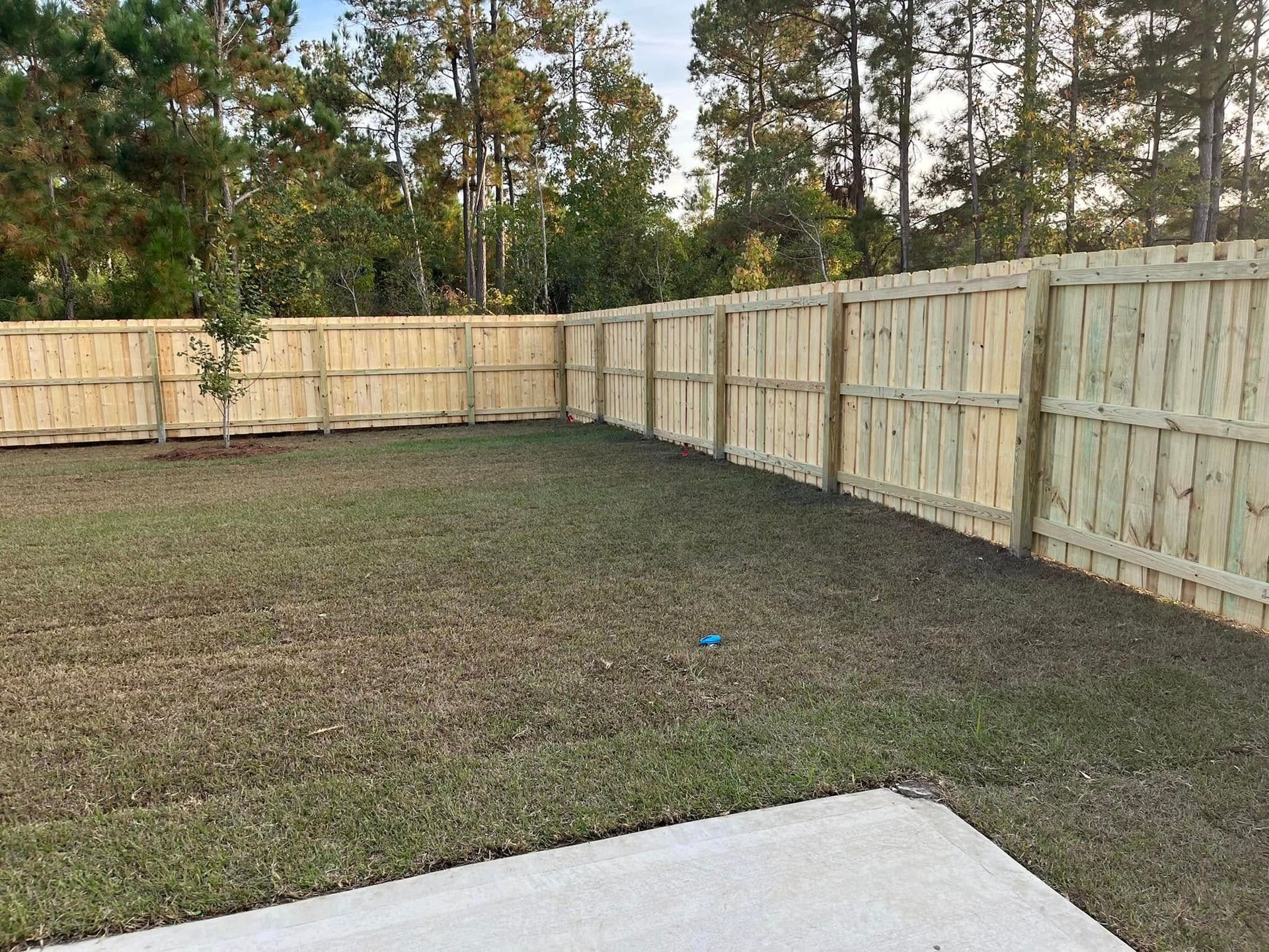 A backyard with a wooden fence and a concrete driveway.