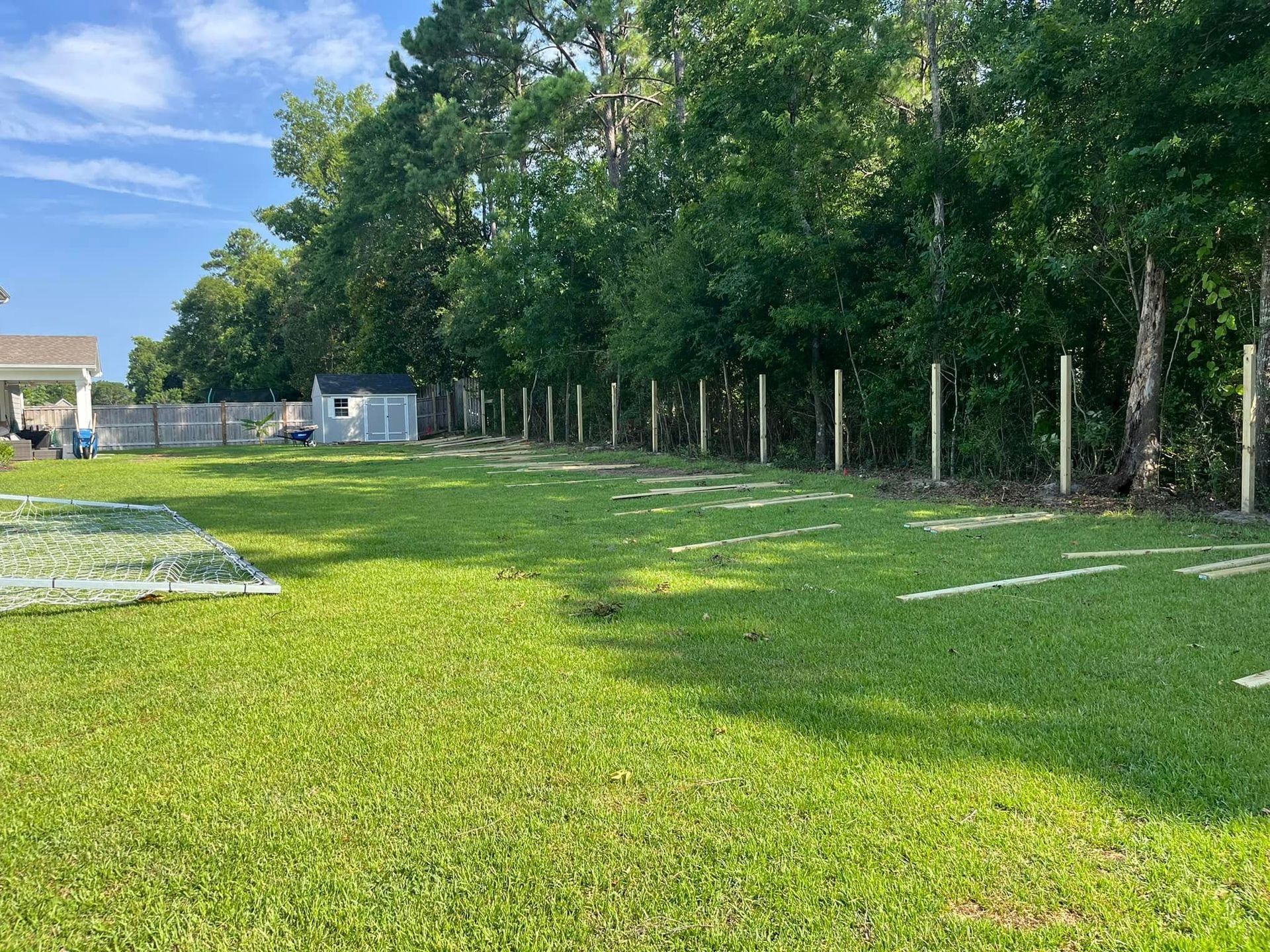 A lush green field with a fence and trees in the background.