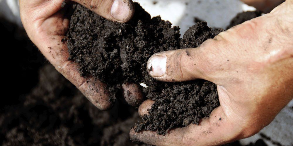 Soil in hands photo