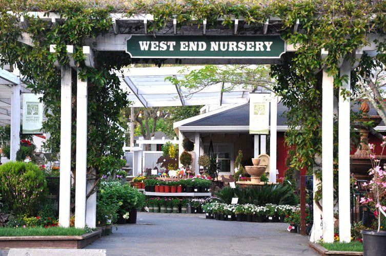 West End Nursery garden photo 1