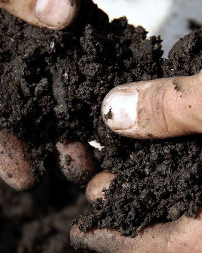 Fertilizers & Soils photo