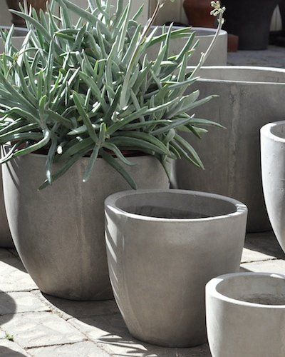 Pots and Planters photo