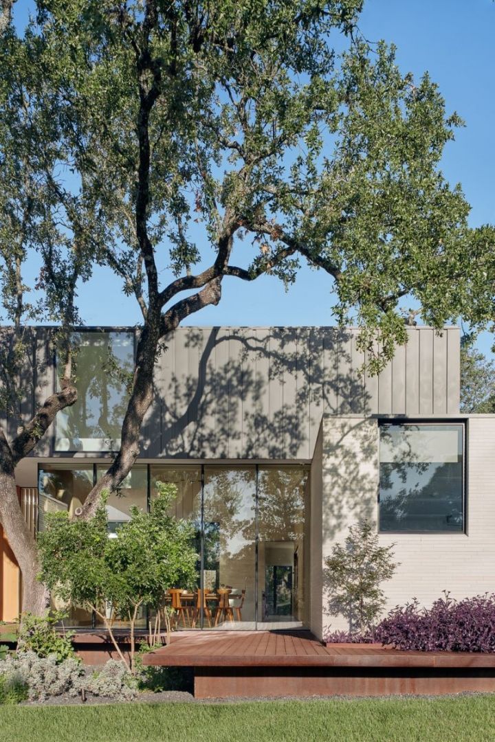 Modern house with concrete walls, large tree, and glass windows.