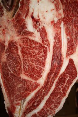 Fullblood Maifuku Beef Quality