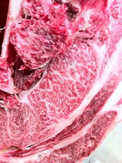 Fullblood Maifuku Beef Quality