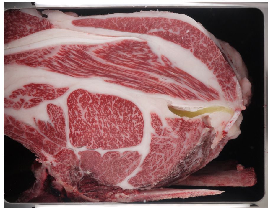 B901-sired carcass