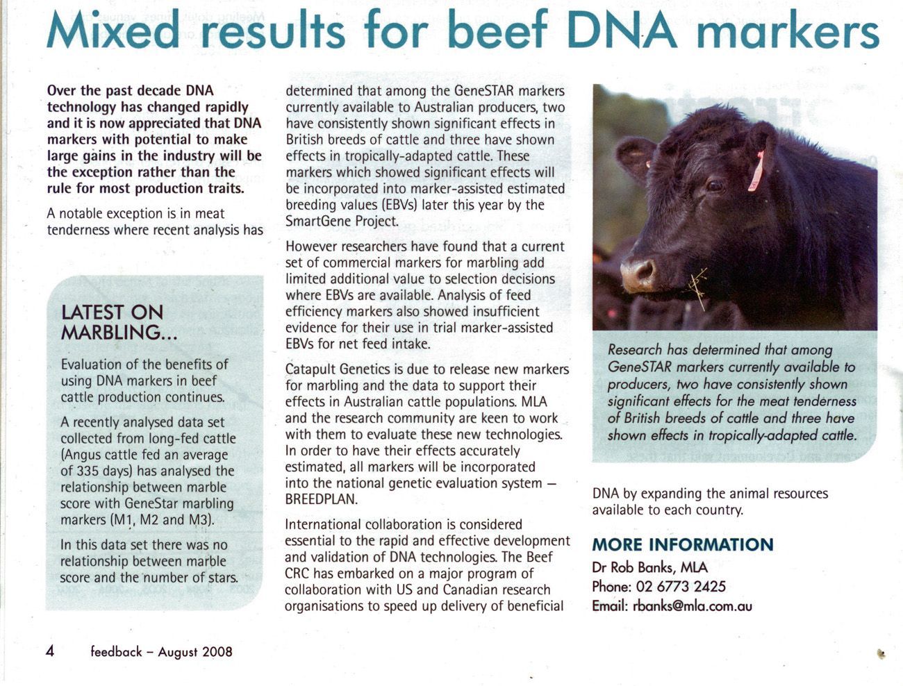 A newspaper article about mixed results for beef dna markers